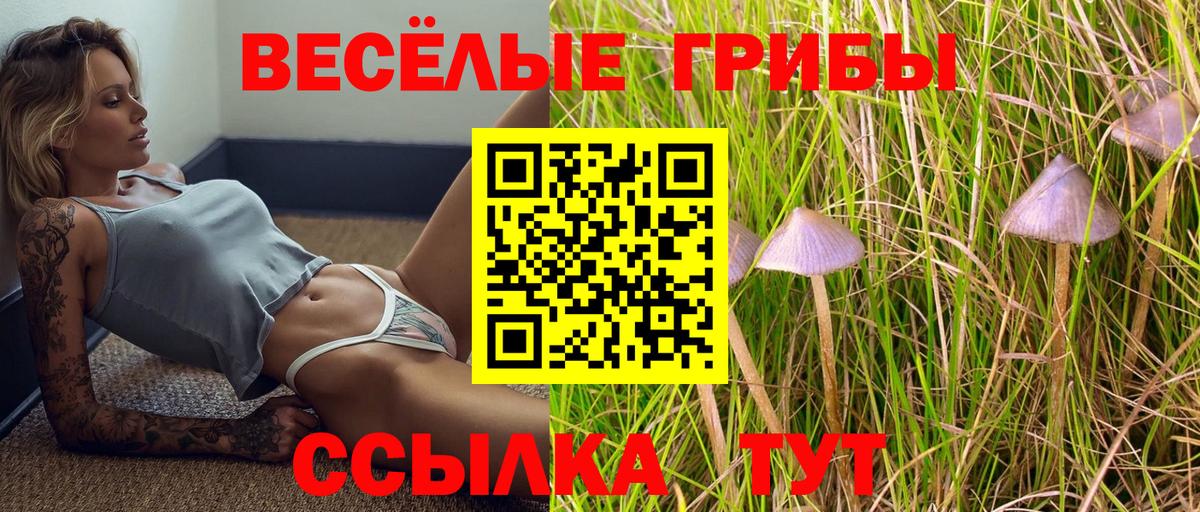 Псилоцибиновые грибы мицелий Медногорск