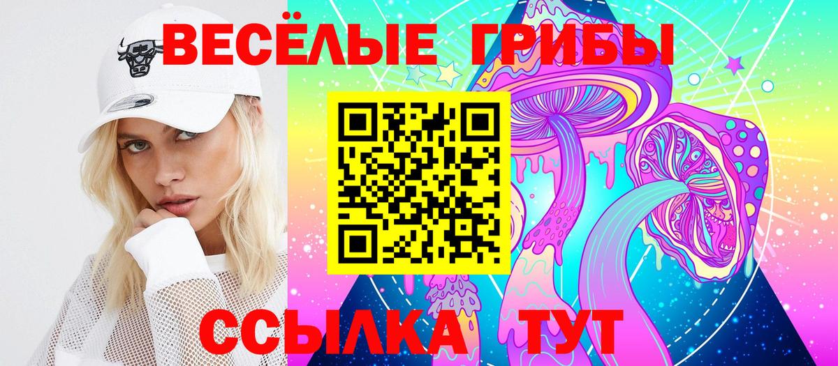 Галлюциногенные грибы Psilocybe  Вход с VPN  Медногорск  Псилоцибиновые грибы GOLDEN TEACHER 